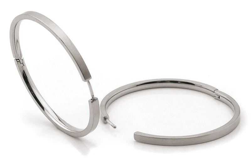 0508-01 Boccia Titanium Earrings - Image 2