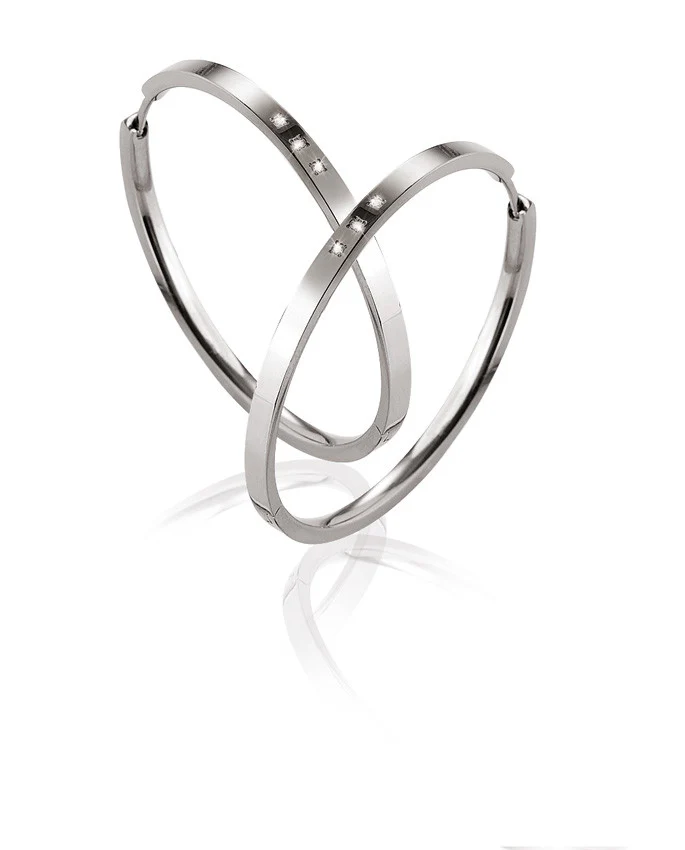 0508-08 Boccia Titanium Earrings - Image 2