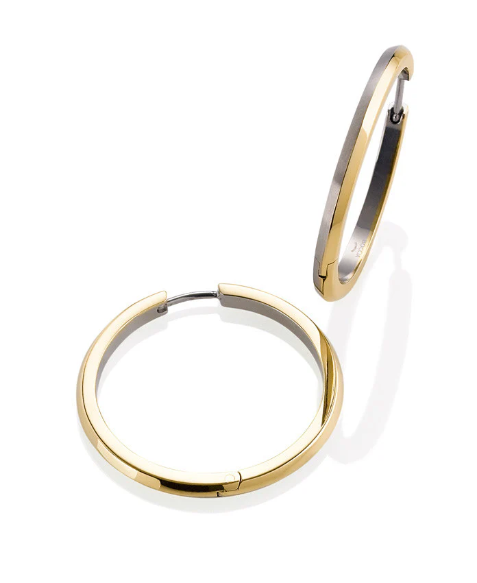0571-02 Boccia Titanium Earrings - Image 2