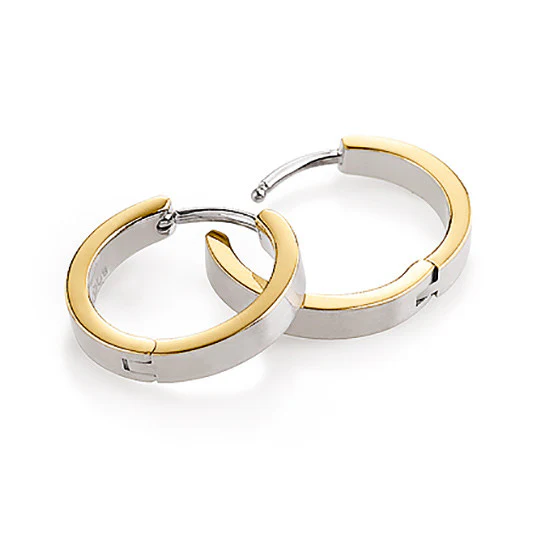 0577-02 Boccia Titanium Earrings - Image 2